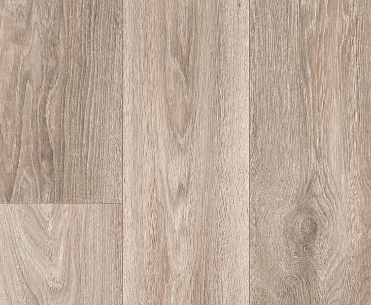 Линолеум Profi Master HAVANNA OAK 1