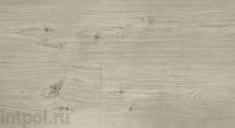 Ламинат Kastamonu Grey FP 469 Лемонграсс