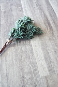 ПВХ плитка Alpine floor Ultra Дуб Полярный ECO 5-19