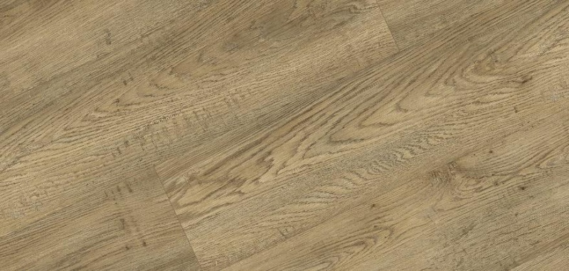 Дуб Благородный светлый