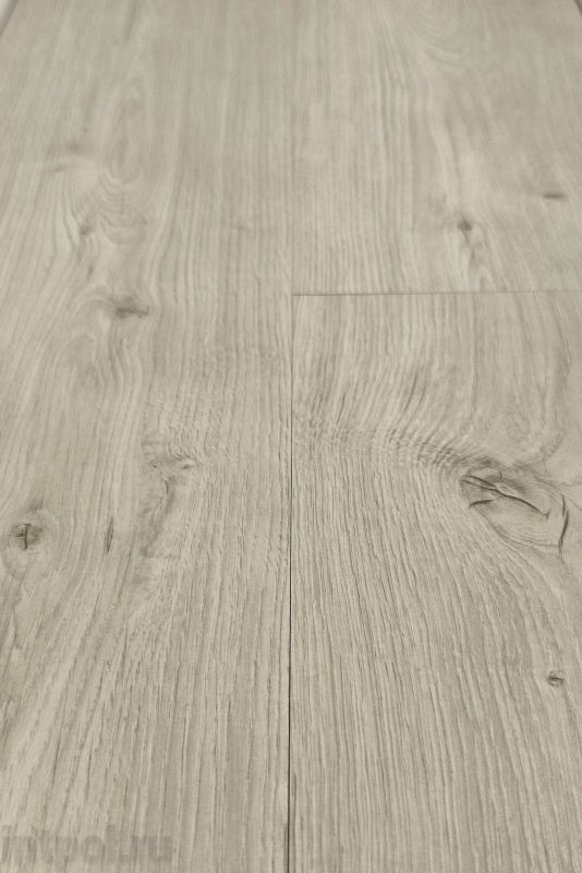 Ламинат Kastamonu Grey FP 469 Лемонграсс