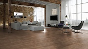 Ламинат Kronopol Platinum Venus D3748 Дуб Артемида