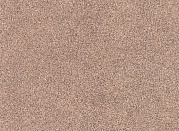 Линолеум Tarkett Sprint Pro Sahara 3
