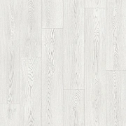 Линолеум Tarkett Club EVORA 1*