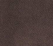 Orchid Tile 1905 PLT