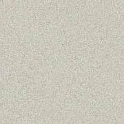 Линолеум Tarkett Sprint Pro FLOT 2