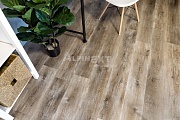 ПВХ плитка Alpine floor Ultra Дуб Медовый ECO 5-17
