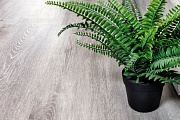 SPC Плитка Alpine floor Classic Ясень Серый ECO 134-5