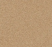 Линолеум Tarkett Craft GELIOS 1