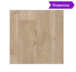 Как быстро найти НОВИНКИ в нашем ассортименте